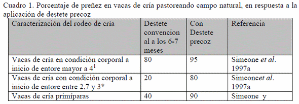 Destete Precoz: una alternativa tecnológica eficiente y eficaz para los rodeos de cría de sistemas ganaderos pastoriles en América Latina - Image 1