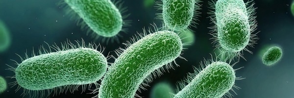 Probióticos y antibióticos: ¿Pueden ir de la mano? - Image 1