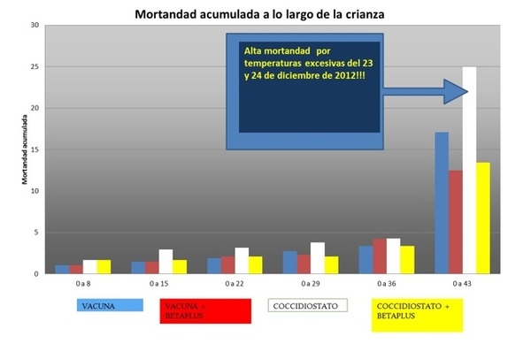 Estrés térmico en aves: utilización de una combinación a base de extractos naturales - Image 1