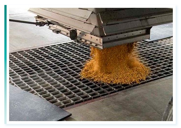 Bioseguridad de una planta de alimentos - Image 6