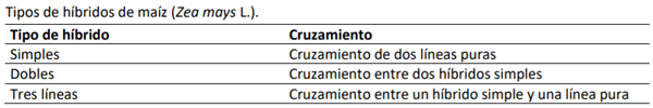Manual del cultivo de maíz para ensilaje - Descripción de la planta: Primer capítulo - Image 2