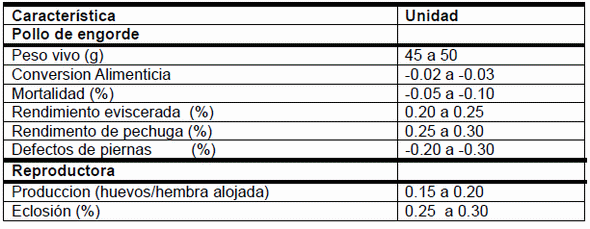 Avances Genéticos en Reproductoras y Pollos de Engorde - Image 3