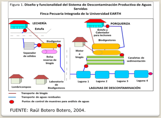 BOTERO - CAPÍTULO IX PASTOREO RACIONAL INTENSIVO VOISIN UNA OPCIÓN PARA INTENSIFICAR Y HACER MÁS AMIGABLE CON EL AMBIENTE LA PRODUCCIÓN CON RUMIANTES EN PASTOREO EN EL TRÓPICO - Image 47