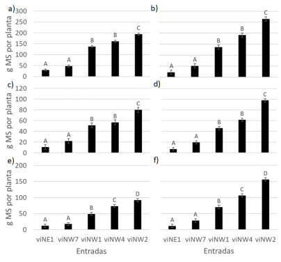 Figura 2. Medias (y error estándar del test de medias) para las variables: a) PSTo corte a media altura cada 60 días; b) PSTo, corte a 10 cm cada 60 días; c) PSH corte a media altura cada 60 días; d) PSH, corte 10 cm cada 60 días; e) PST corte a media altura cada 60 días; f) PST, corte a 10 cm cada 60 días. Letras diferentes indican diferencias significativas en el test de Tukey (P< 0,005).