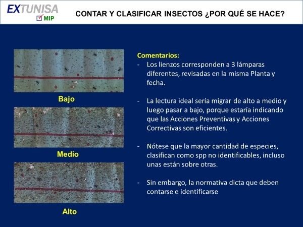 Lámparas UV: Clasificación y conteo de Insectos - Image 1