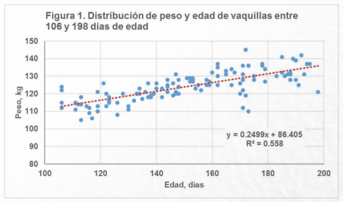 Aplicación del sistema de procesos para identificar áreas de mejora en la crianza de becerras y vaquillas de reemplazo - Image 2