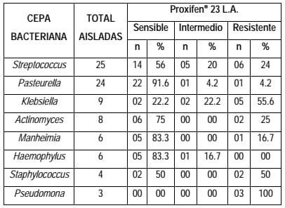 Evaluación de la Efectividad in vitro del Proxifen® 23 L.A (Oxitetraciclina con Ketoprofeno) contra agentes bacterianos causantes de la Enfermedad Respiratoria en Bovinos - Image 4
