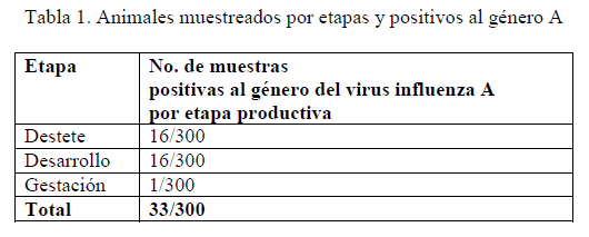 Estudio de la frecuencia del virus de la influenza humana AH1N1 en poblaciones de cerdos del estado de Jalisco a través de la técnica PCR tiempo real - Image 4