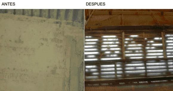 Control Integrado de plagas en alimentos balanceados. Sistemas de Sanitización - Image 6