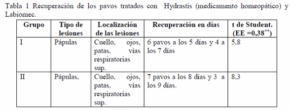 Tratamientos alternativos con hydrastis y labiomec en pavos afectados de viruela - Image 1
