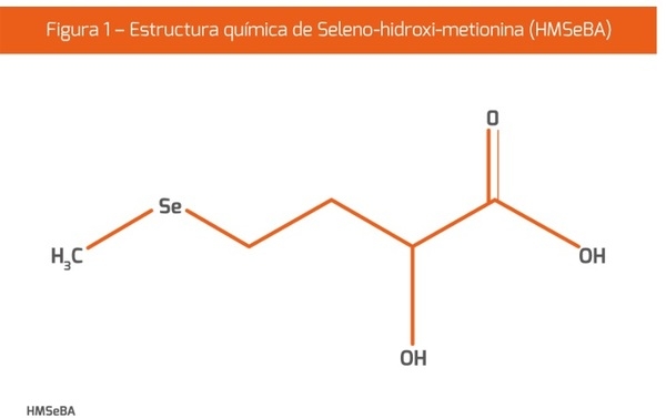 El estrés oxidativo y el metabolismo antioxidante - Image 1