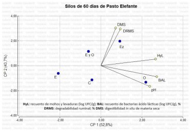 Figura 1. Análisis de componentes principales entre parámetros de fermentación nutricional en silajes de pasto elefante (Pennisetum purpureum) con bacterias acido lácticas (BAL) homofermentativas (O), héterofermentativas (E), homo y heterofermentativas (O y E) y enzimas fibrolíticas (Ez). 