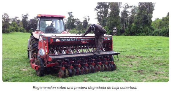 FORRAJERAS - Sistema de siembra - Image 5