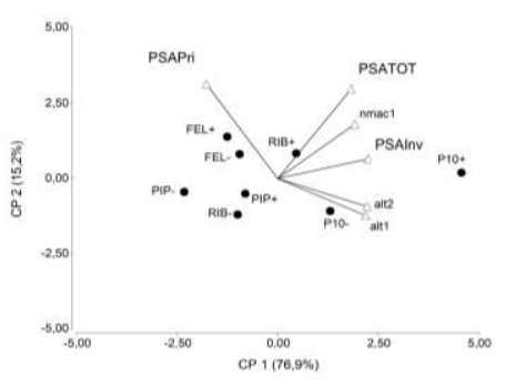 Figura 2. Biplot para 4 poblaciones de raigrás anual infectadas y libres de endófitos evaluadas en C. del Uruguay.