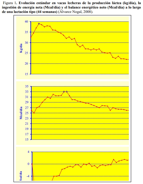 Evolución de la fertilidad en el ganado vacuno lechero. Síndrome de Vaca Repetidora - Image 2