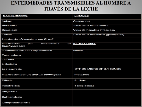 Importancia de los cultivos bacteriológicos en el diagnóstico de la mastitis bovina y antibiograma - Image 4