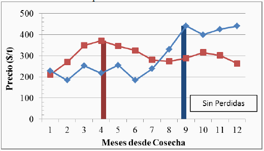 Modelos Bioeconómicos para Mejorar el Manejo del Silo Bolsa - Image 14