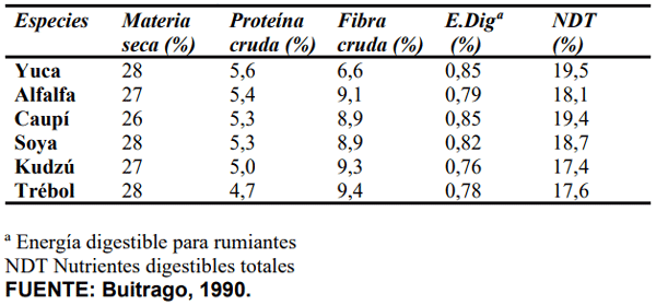CUADRO 6. Contenido nutricional del follaje fresco de yuca y del follaje fresco de algunas leguminosas.