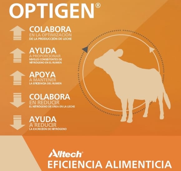 Estrés Calórico en Ganado Lechero: Alternativas de Manejo Ambiental y Nutricional - Image 2