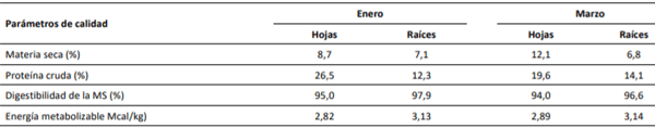 Contenido de nutrientes en hojas y raíces de nabos forrajeros