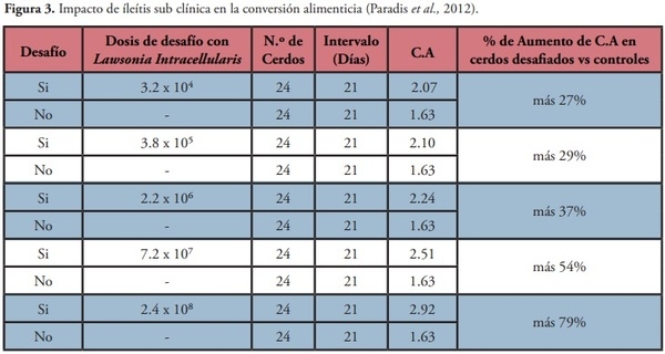 Programa efectivo para el control de la Ileítis en cerdos con Kitasamicina (Kimyso 500) - Image 3