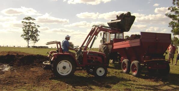 Desafios en torno a la utilización agronómica de la cama de pollo - Image 1