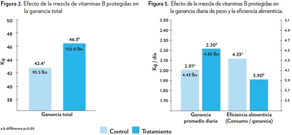 VITAMINAS B PROTEGIDAS PARA GANADO DE CARNE DESEMPEÑO EN EL PERIODO DE RECEPCIÓN - Image 3