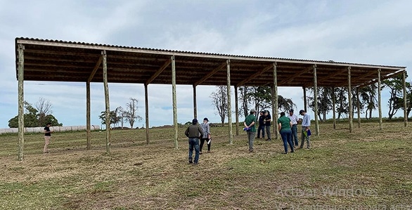 Manejo del ambiente físico para atenuar la producción de calor - Image 11