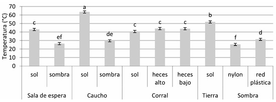 Temperatura de diferentes superficies al sol o sombra - Image 1