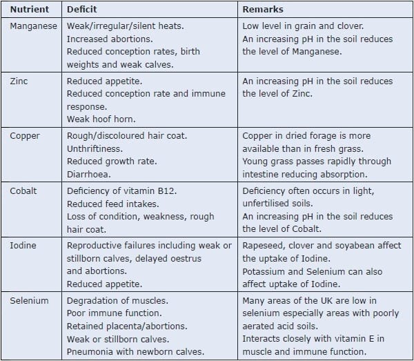 Efectos de la variabilidad agroclimática sobre los pastos, crianza y producción del ganado lechero en Cuba - Image 1