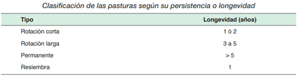 FORRAJERAS - Establecimiento de pasturas y cultivos suplementarios - Image 4