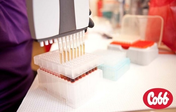 Bioseguridad: proteger la salud animal para sostener la cadena de suministro - Image 1