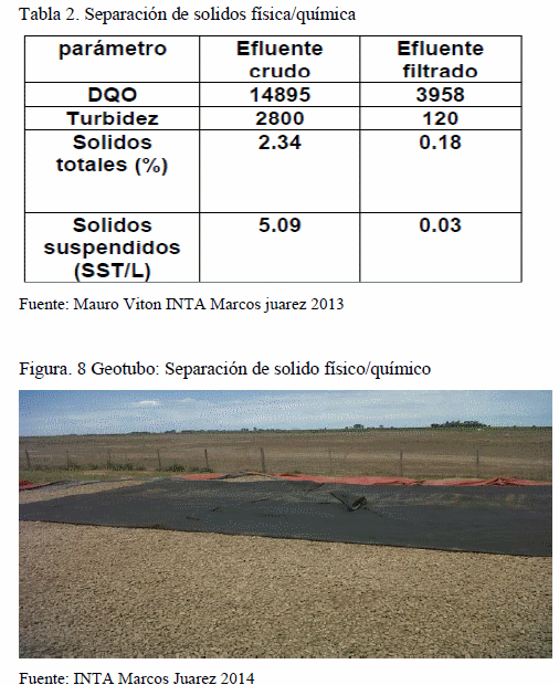 Pautas básicas para el manejo de efluente porcino - Image 11