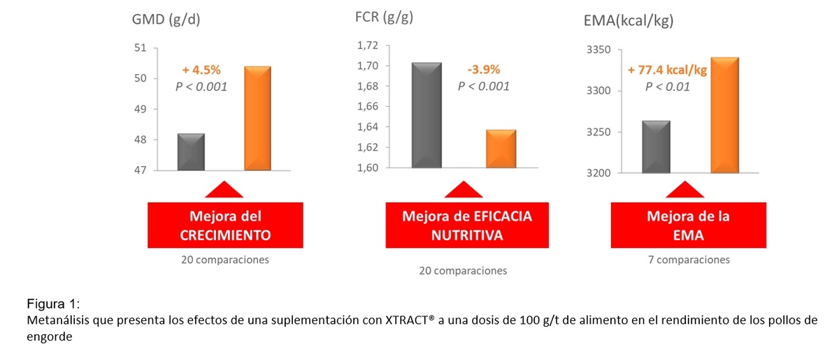 Extracto a base de plantas: panorama presente y futuro - Image 1