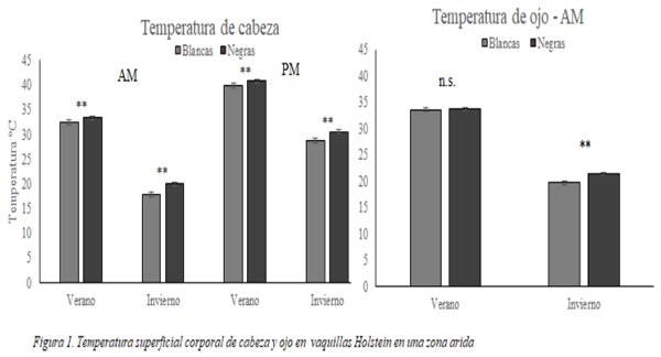 Figura 1