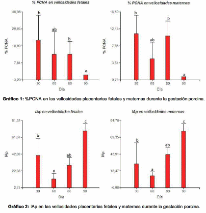 Determinación de PCNA y tunel en las vellosidades placentarias porcinas - Image 1