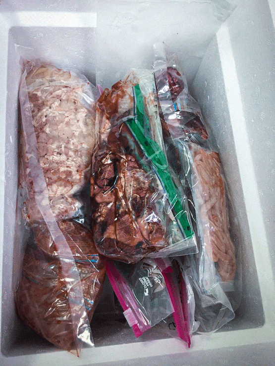 Envío de muestras para PCR