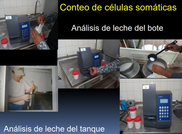 Pruebas para el diagnóstico de la mastitis bovina - Image 21
