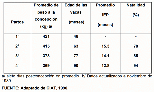 CUADRO 4. Pesos a la concepción, edad al parto, e intervalos entre partos de vacas en pastoreo en B. decumbens CIAT 606 y Stylosanthes capitata CIAT 1019 en la Altillanura Oriental de Colombia, Sabana Bien Drenada (SBD). 