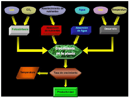 Planeación de la producción animal con base al crecimiento estacional de los pastos - Image 1