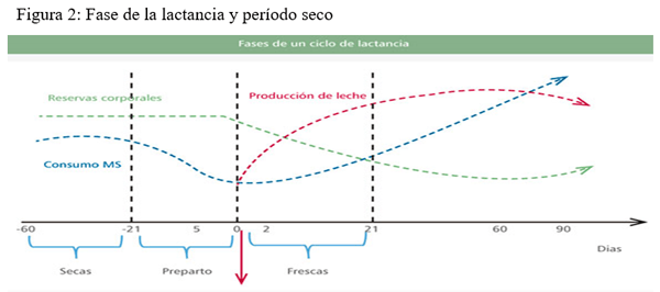 Uso de grasas protegidas en la alimentación de rumiantes - Image 6