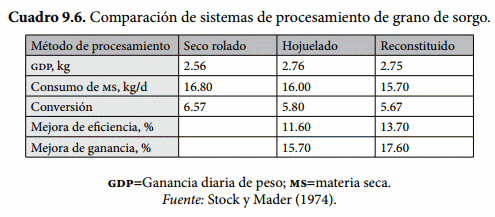 Procesamiento de los granos - Image 6