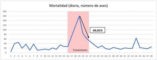 Uso del anillo cimenol para tratar un brote de enteritis necrótica en broilers - Image 2