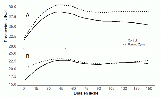 Fig1. Producción de leche de vacas multíparas (A) y primíparas (B) en pastoreo suplementadas con (línea punteada) y sin (línea solida) Rumino-Zyme®.