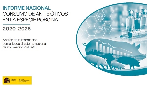 Baja del 40% en el consumo de antibióticos en porcinos, Informe 2020-2025 de España. - Image 1