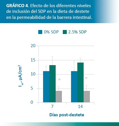 Cómo mejorar los parámetros productivos para aprovechar la mejora económica del mercado porcino mundial - Image 4