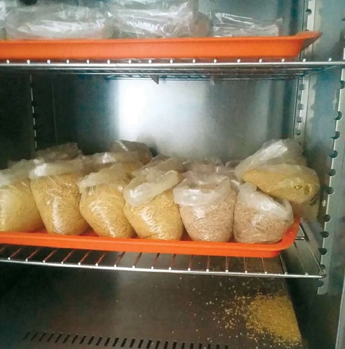 materia seca