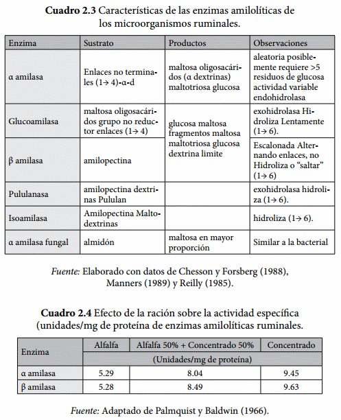 Degradación ruminal del almidón - Image 3