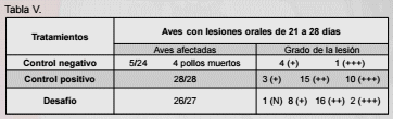 Evaluación de un adsorbente de toxina t-2, en pollo de engorda - Image 7