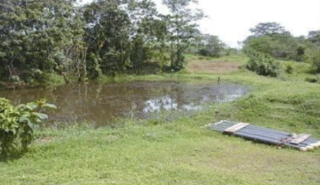 Lagunas de descontaminación.